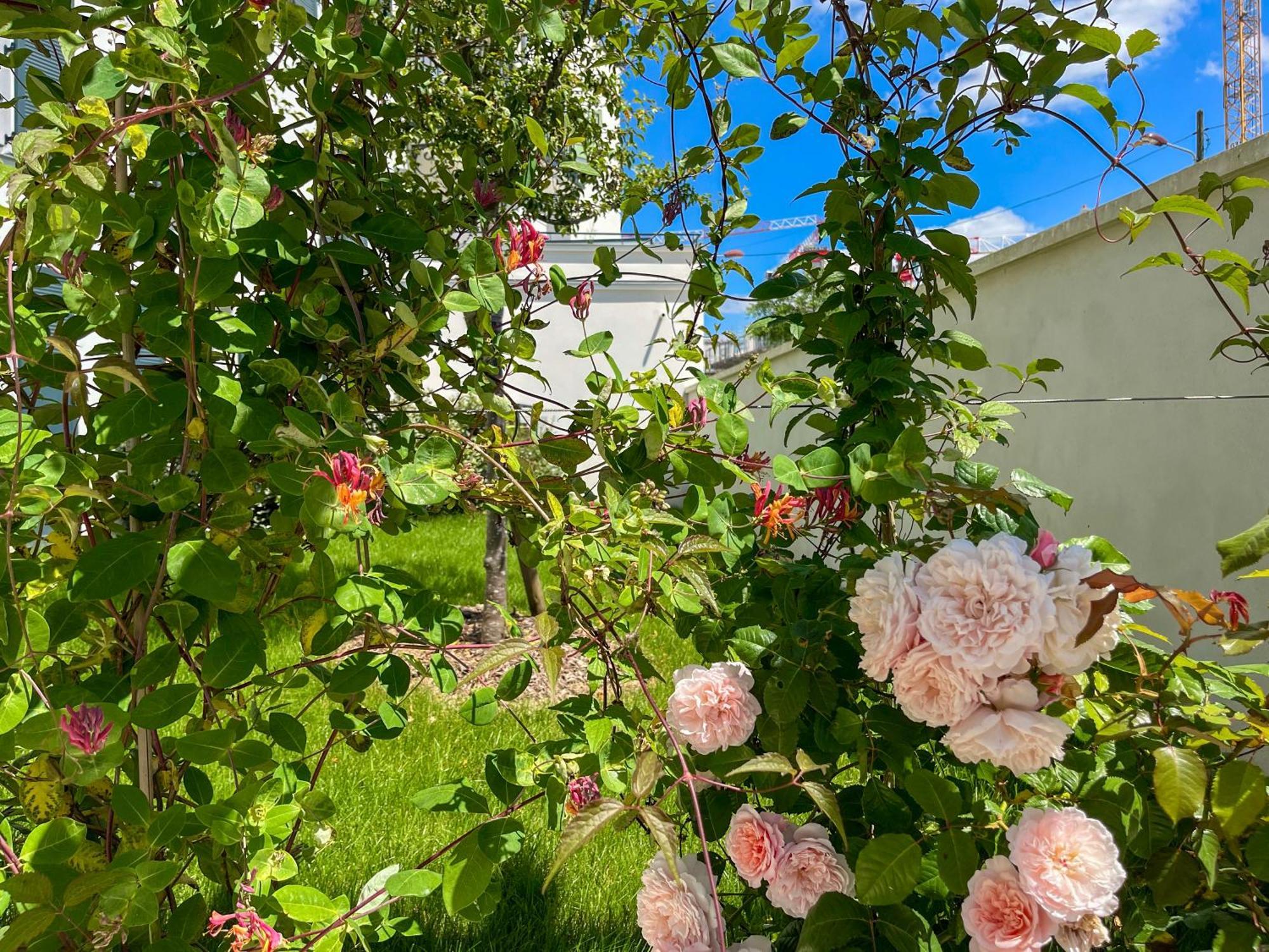 Enjoyable Apartment Disneyland - Rentaway Bnb Serris Dış mekan fotoğraf